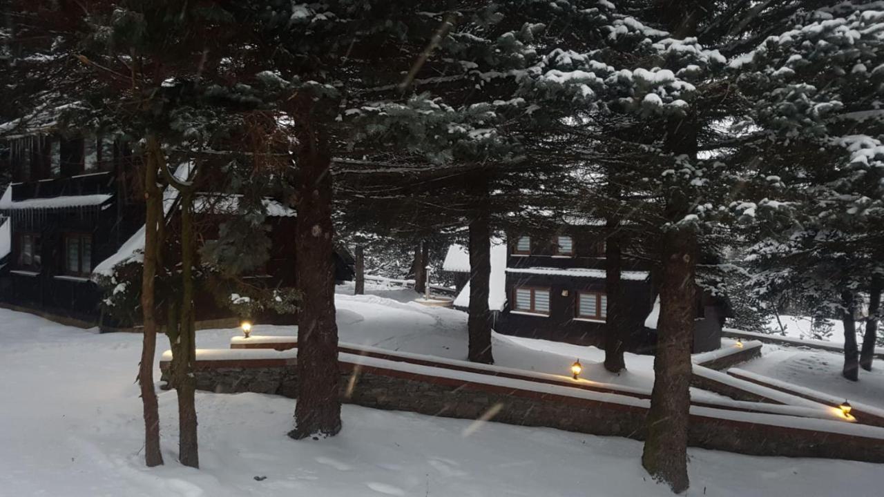 Oliwne Wzgorza Villa Stronie Śląskie Exterior foto